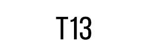 T13-54 Twistie