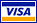 Skinzwear.com accepts Visa